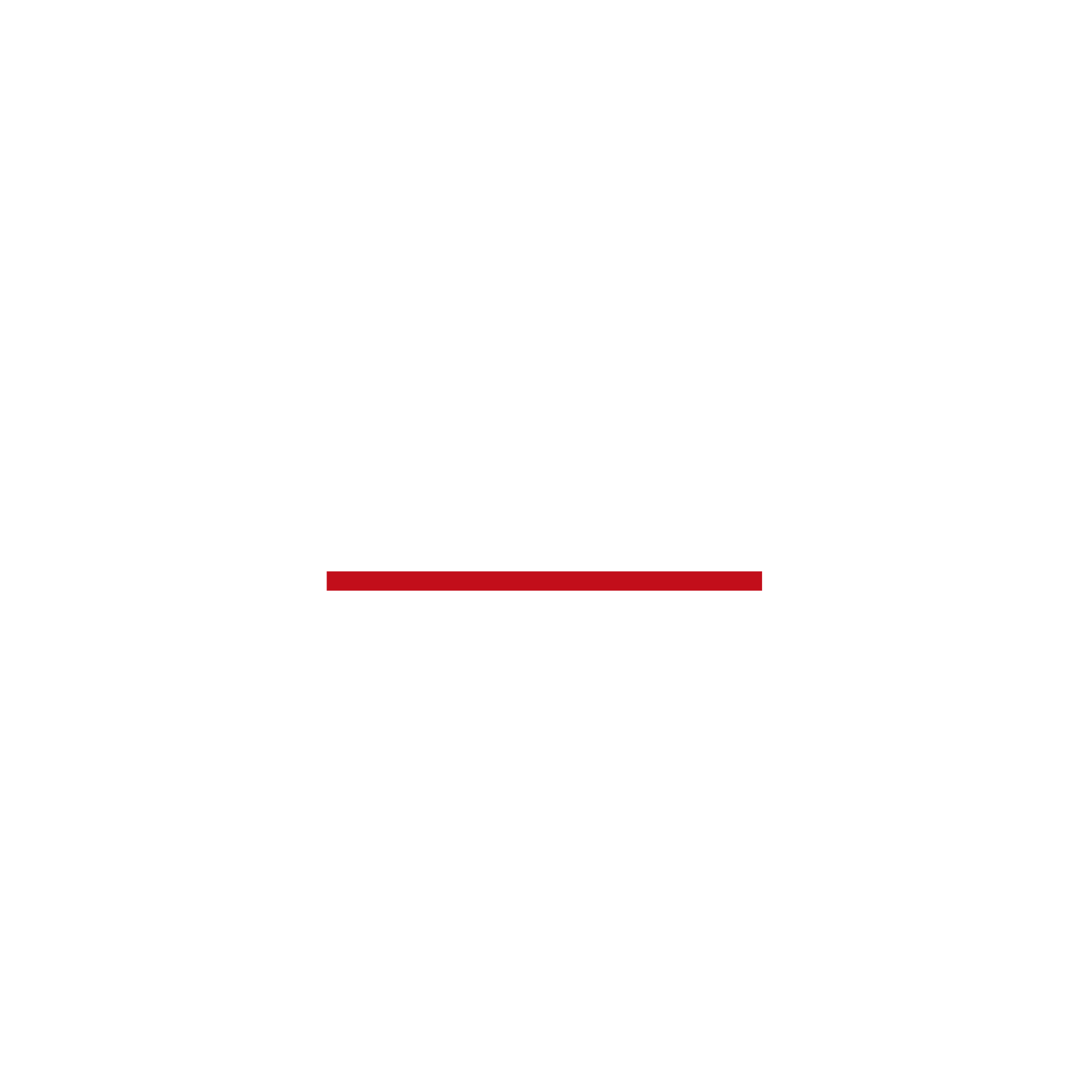 Camozzi Group logo